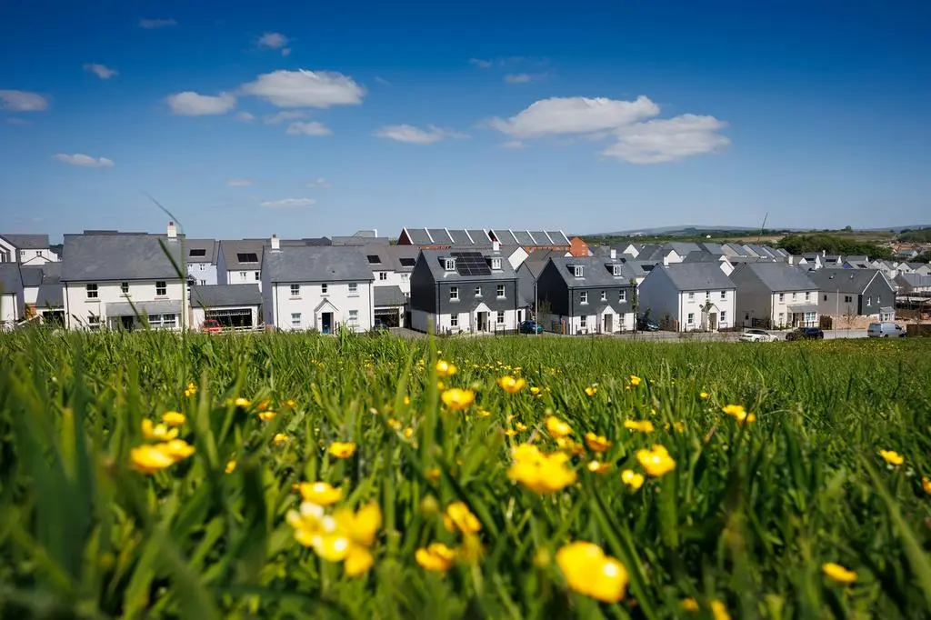 Property Background